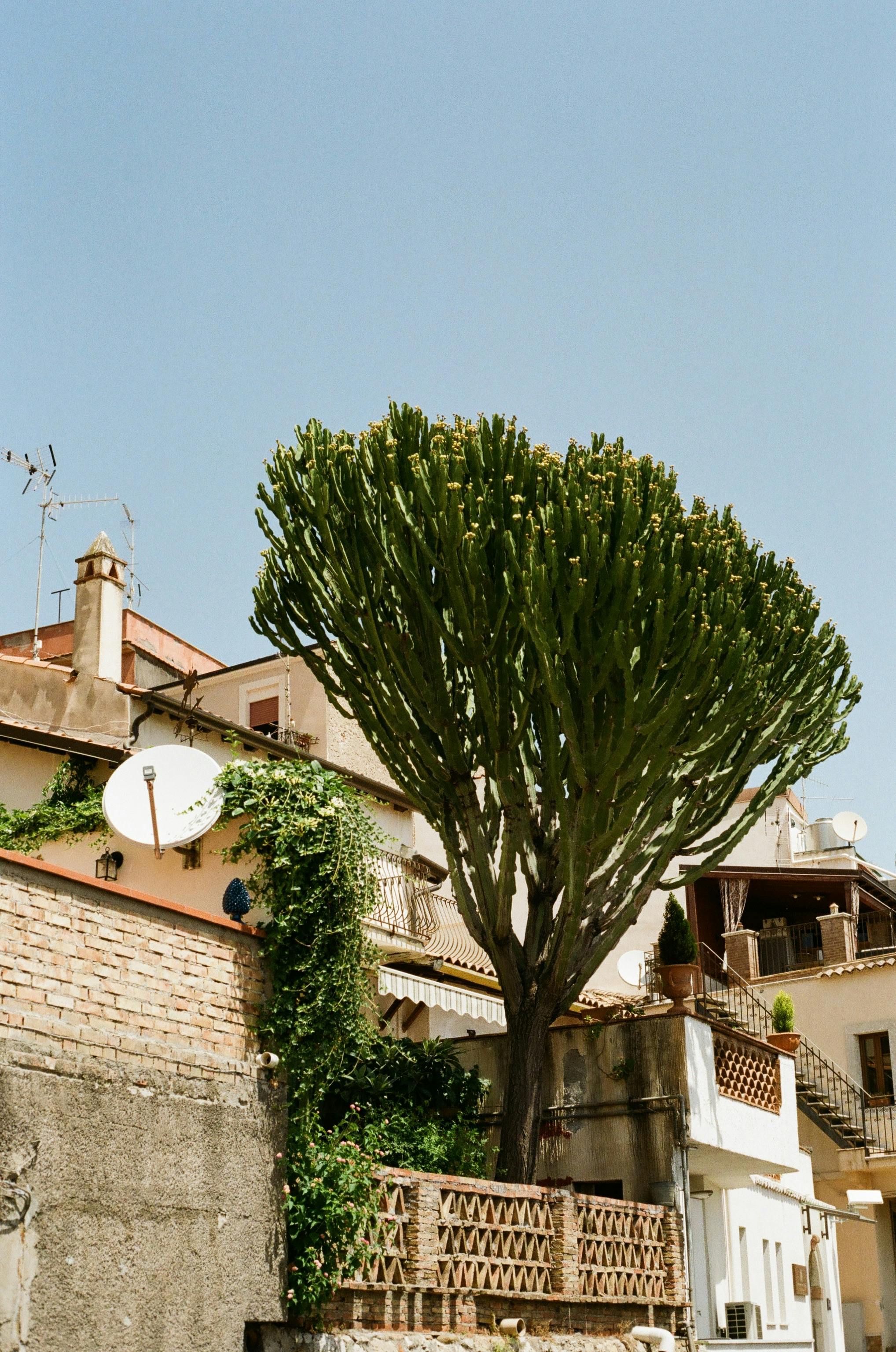 Mediterranean building with distinctive chimney and architectural details